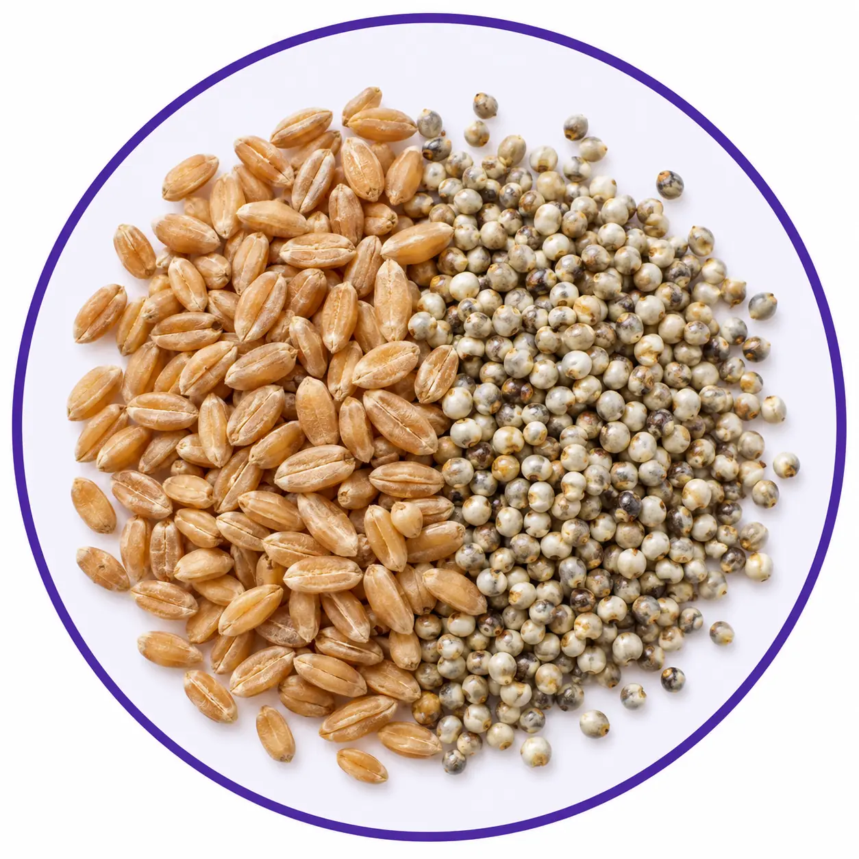Pulses