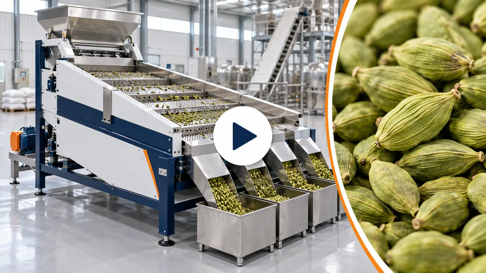 Cardamom Grader Machine