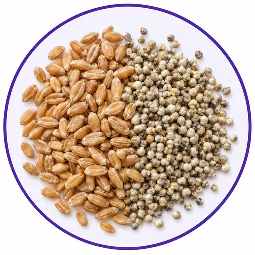Grains