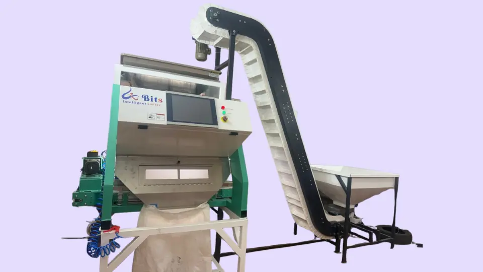 Bits Intelligent Sorter inclined feeding conveyor for food processing lines