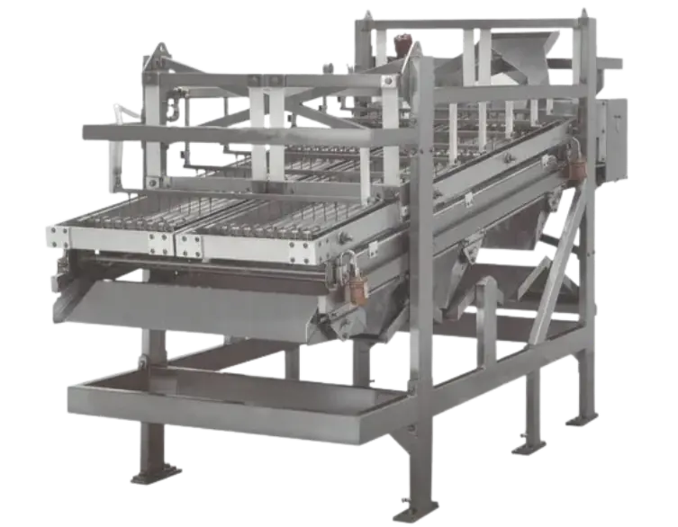 2. Multi-layer Grader grading machine by Bits Intelligent Sorter