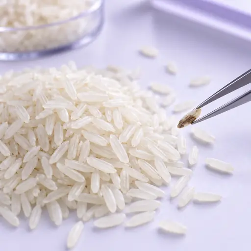 Precision inspection of rice grains